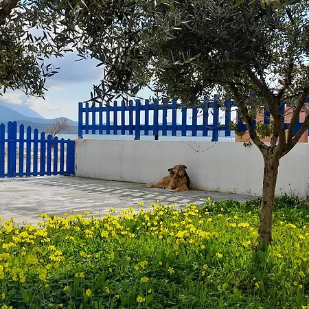 The Blue Door